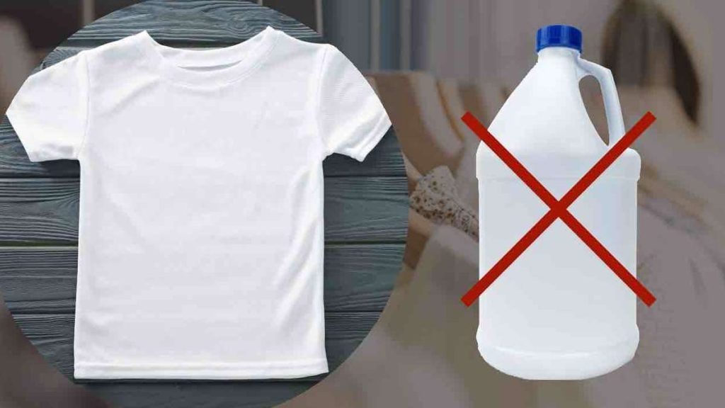 Eau De Javel Vetement Blanc _ Eau De Javel 20L Leclerc EQIUWY — free download
