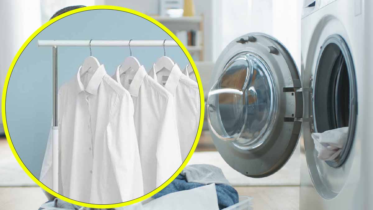 Vos vêtements seront très blancs si vous utilisez ce produit à la place — free download