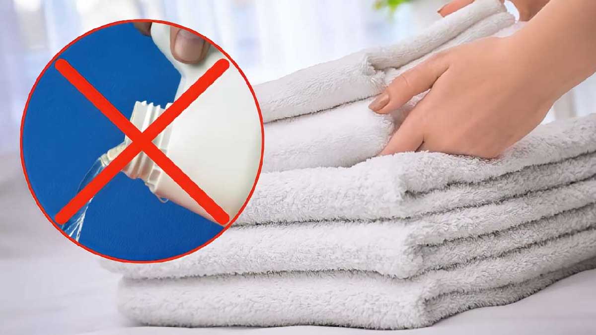 Serviettes très blanches sans javel comment les blanchir — free download