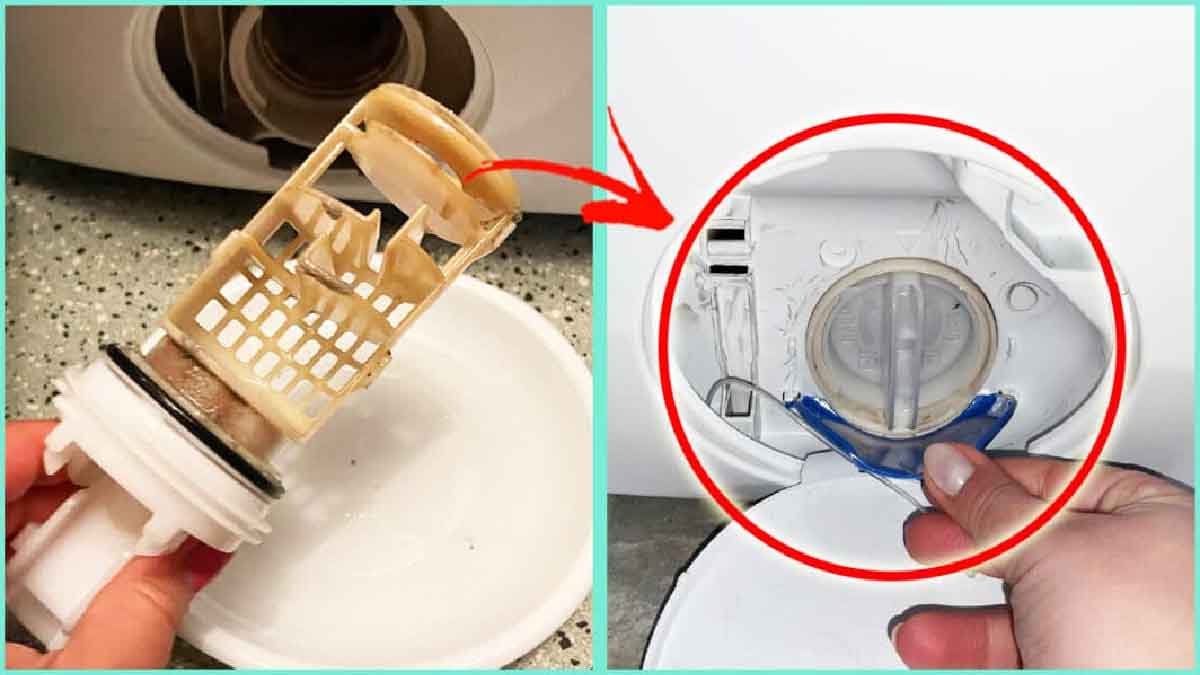 Adoptez cette méthode pratique pour nettoyer le filtre de la machine à — free download