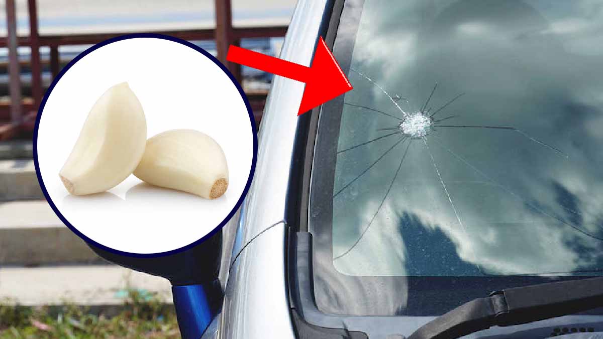 Réparer la vitre fissurée de la voiture : cet ingrédient peut résoudre
